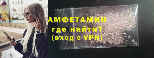 гашик Вяземский