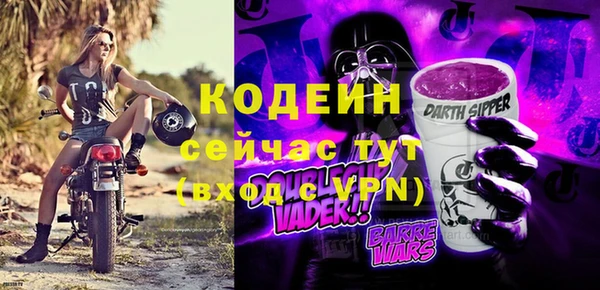 гашик Вяземский