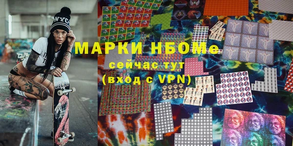 гашик Вяземский