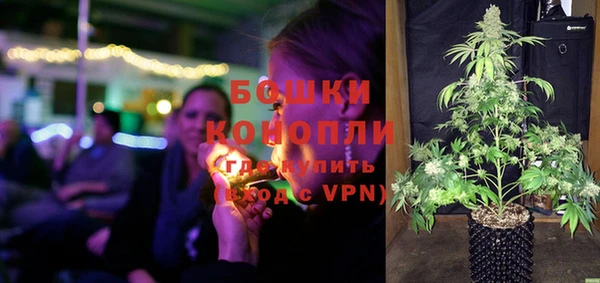 гашик Вяземский