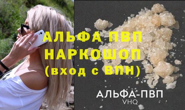 гашик Вязники